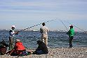 Fish at kronborg